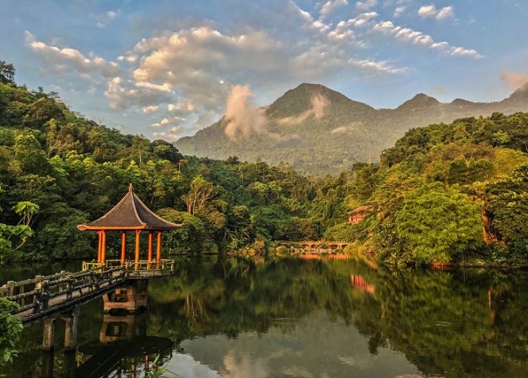 Khám Phá Top 8 Địa Điểm Cắm Trại Ba Vì Có View Đồi Thông - Mototrip Việt Nam