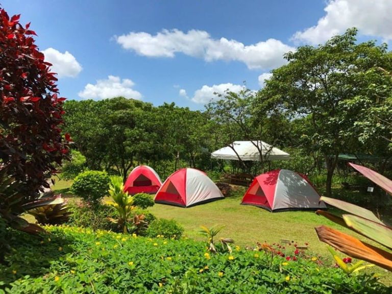 Nơi cắm trại ở Hà Nội - Cắm trại ở Ecopark