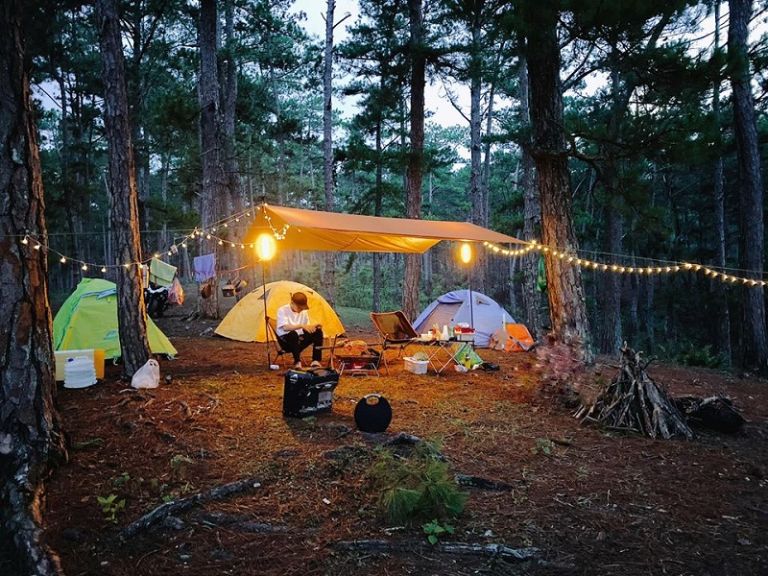 Cắm trại ở trong vườn tràm