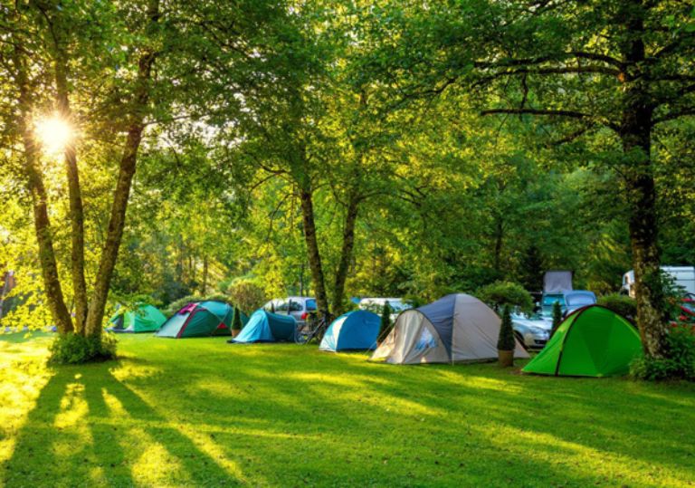 Cắm trại ở Ecopark