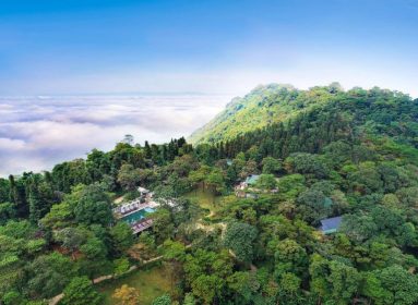 Resort Melia Ba Vì | Thao Thức Với Cung Đường Ngắm Hoa Dã Quỳ
