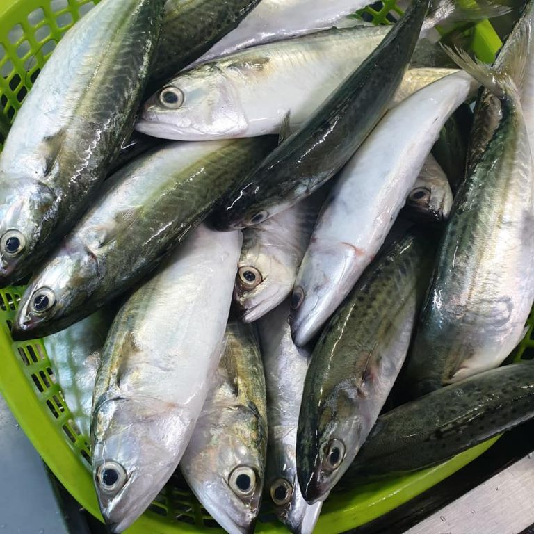 Các chất dinh dưỡng có trong cá bạc má góp phần tránh những căn bệnh nguy hiểm.