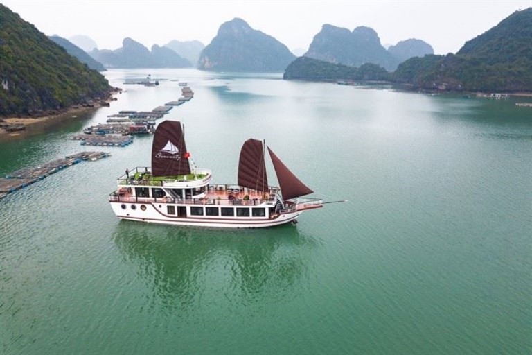 Top 8 du thuyền 5 sao Cát Bà vịnh Lan Hạ sang trọng, đẳng cấp và đáng trải nghiệm trong mùa hè này.