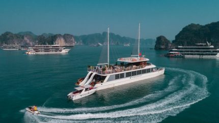 Du Thuyền Catamaran