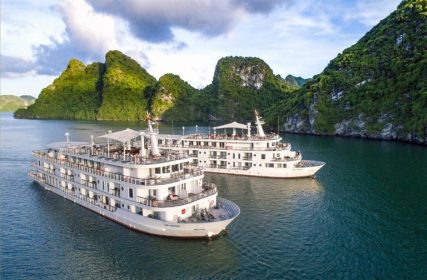 Du thuyền Paradise Elegance nổi tiếng tại vịnh Hạ Long nhờ chất lượng phòng nghỉ cao cấp và các dịch vụ tiện ích chuyên nghiệp.