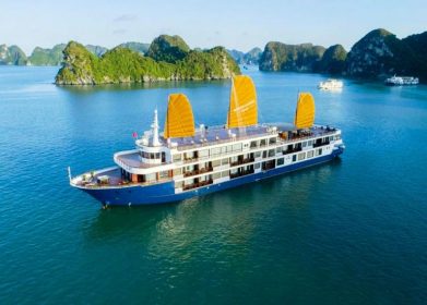 Du Thuyền Sealife chất lượng