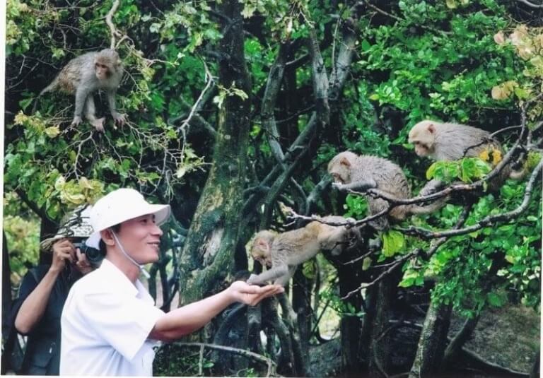 Du khách chuối với khỉ tại Đảo Khỉ