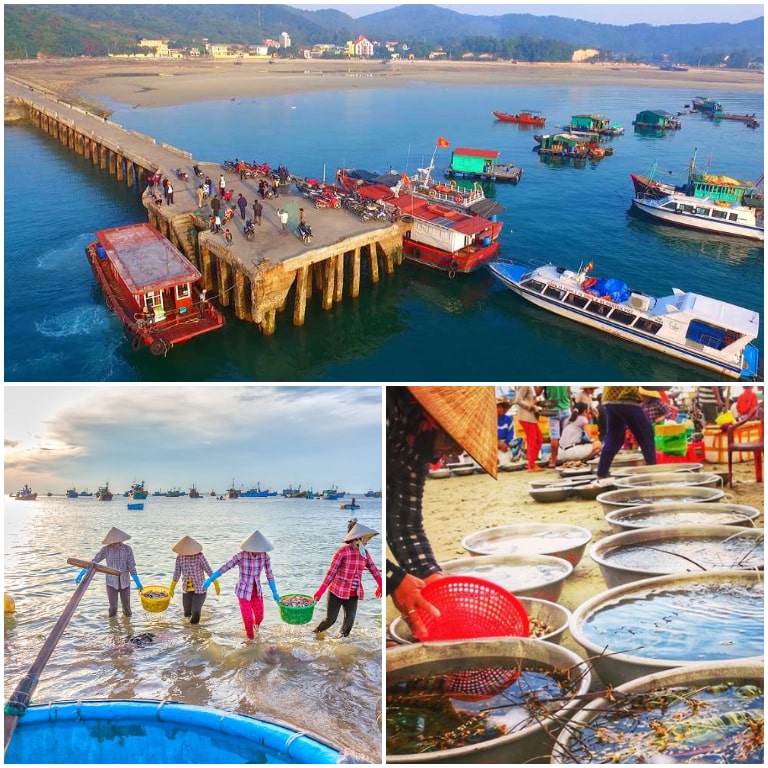 Hải sản Cô Tô nổi tiếng thơm ngon với giá cả phải chăng được bán hàng ngày trên bến cảng Thanh Lân.