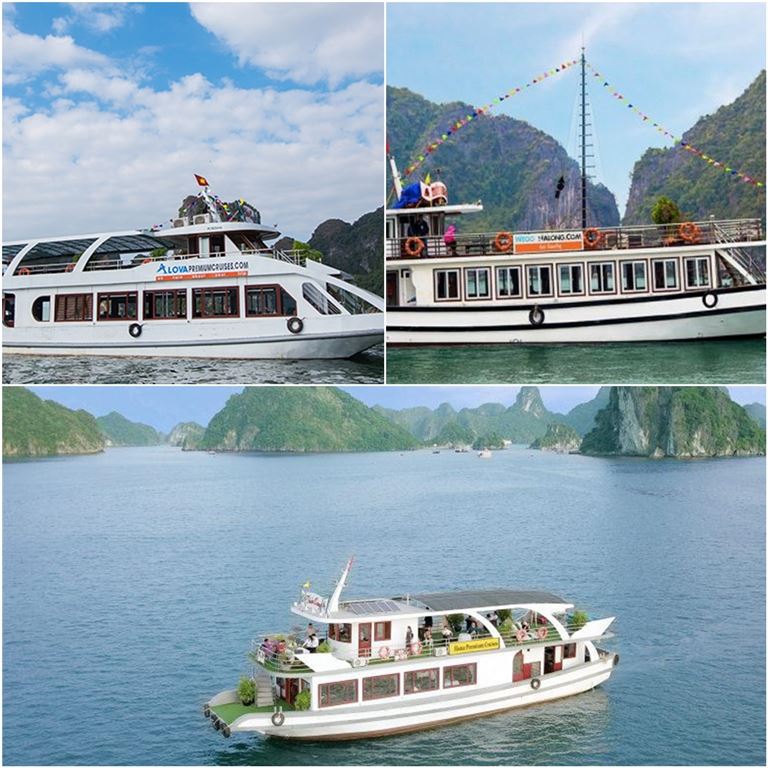 Du khách có nhiều sự lựa chọn về du thuyền trong tour du lịch Hạ Long 1 ngày. 
