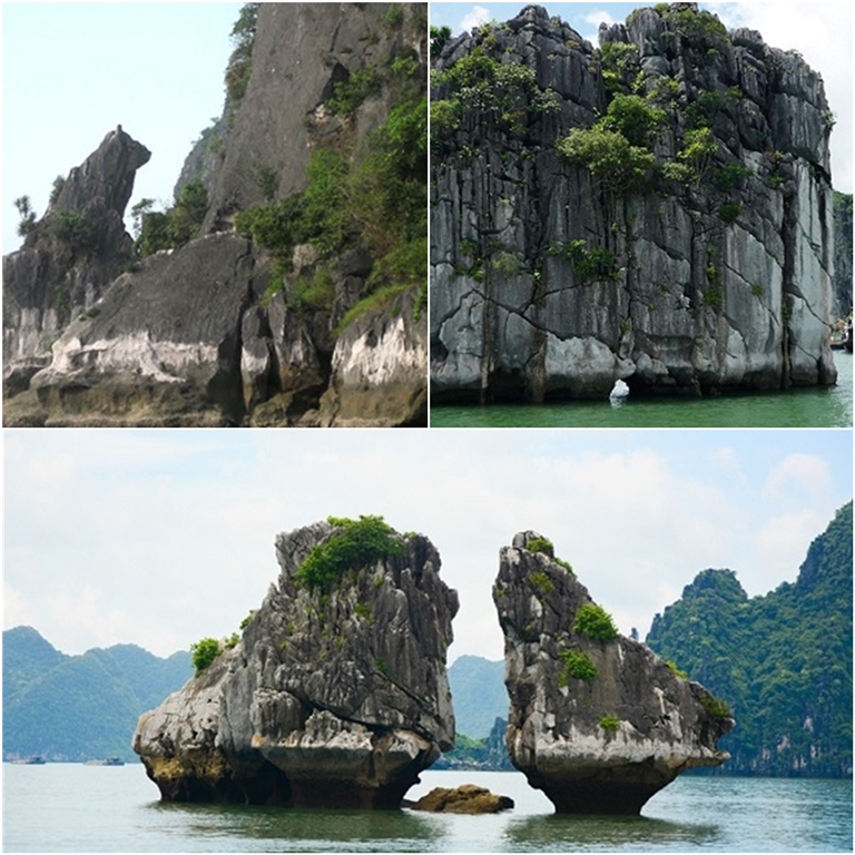 Các hòn đảo lớn nhỏ đang chờ du khách chiêm ngưỡng trong tour du lịch Hạ Long