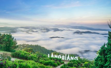 Ngày 3: Thung lũng vàng - Cao nguyên Lang Biang - Dinh Bảo Đại
