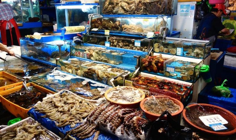 Hãy ghé chợ hải sản Đồ Sơn để mang hương vị biển cả về nhà nhé! 