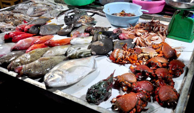 Chợ hải sản Đồ Sơn với các cá, tôm, cua,...tươi ngon mới cập bến là địa điểm ghé thăm tại tour du lịch Hải Phòng 3 ngày 2 đêm
