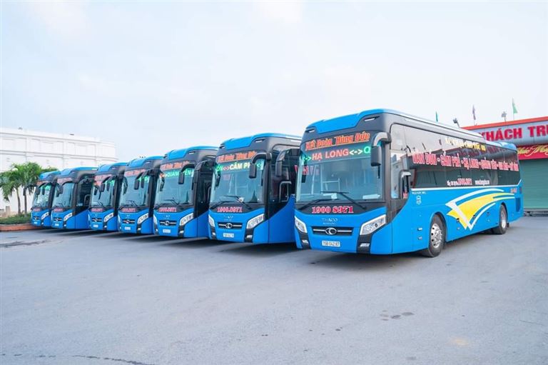 Tổng hợp 6 xe khách Hà Nội Cẩm Phả uy tín, có chất lượng tốt, đáng thử nhất hiện nay. 