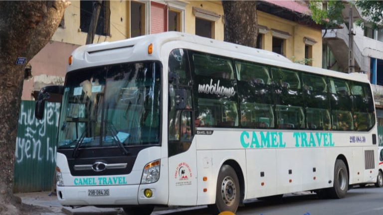 Camel Travel là nhà xe được đông đảo khách hàng tin tưởng ủng hộ vì cách làm việc chuyên nghiệp, uy tín.