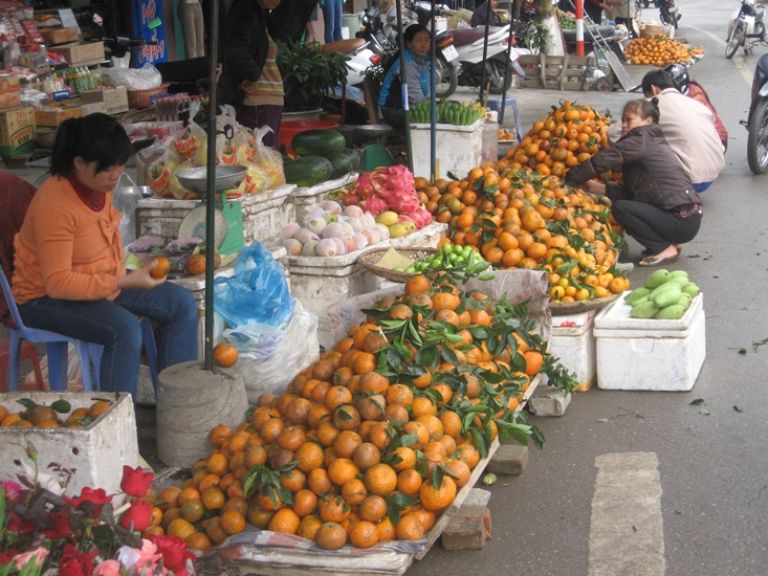 Trên thị trường có rất nhiều loại cam sành khác nhau. 