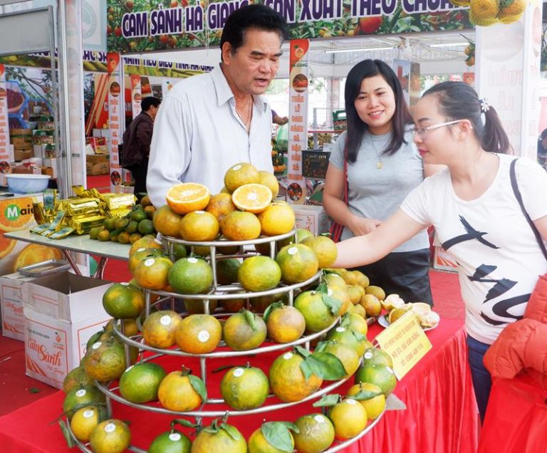 Tổ sản xuất cam VietGap đang giới thiệu cam với khách hàng trong hội chợ nông sản Hà Giang. 
