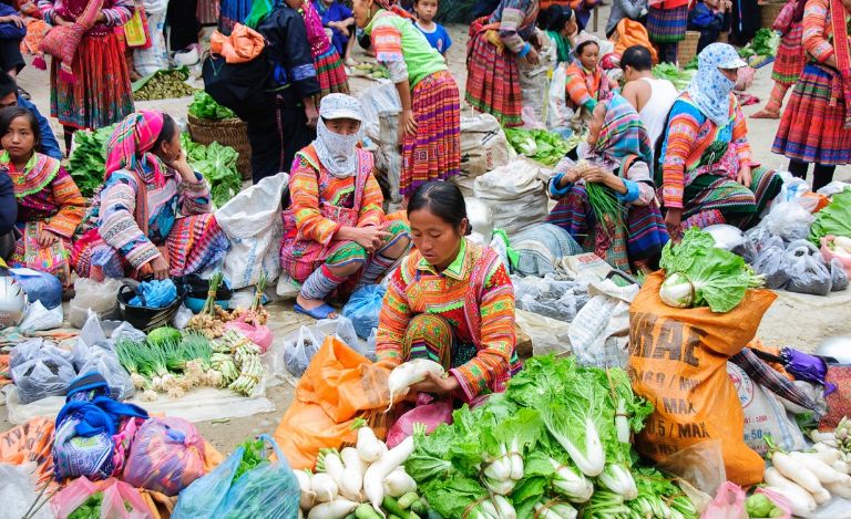 Tại đây, bạn có thể trao đổi và mua bán những loại rau củ quả tươi ngon nhất do người dân bản địa tự trồng và chăm sóc
