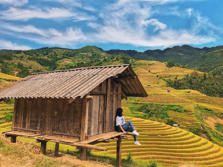 Nếu du khách thắc mắc chơi gì ở Đồng Văn, mùa lúa chín luôn là lựa chọn hàng đầu bởi không khí mát mẻ cùng màu lúa vàng óng trải dài 