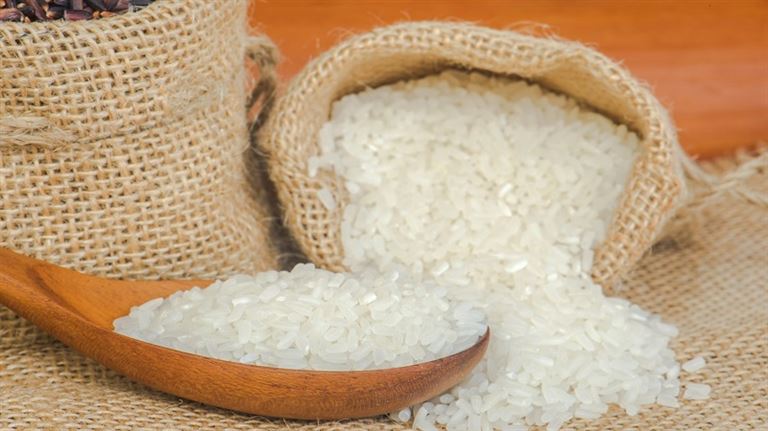 Gạo nếp là nguyên liệuq quan trong quyết định đến độ dẻo và thơm ngon của món ăn nên cần được lựa chọn một cách kỹ lưỡng. 