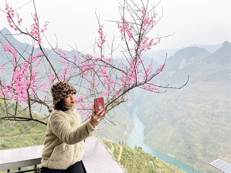 Đến đèo Mã Pí Lèng vào mùa xuân, các bạn sẽ được chiêm ngưỡng và check-in với những cây đào, cây mận và vườn hoa cải vàng ươm. (nguồn: Internet) 
