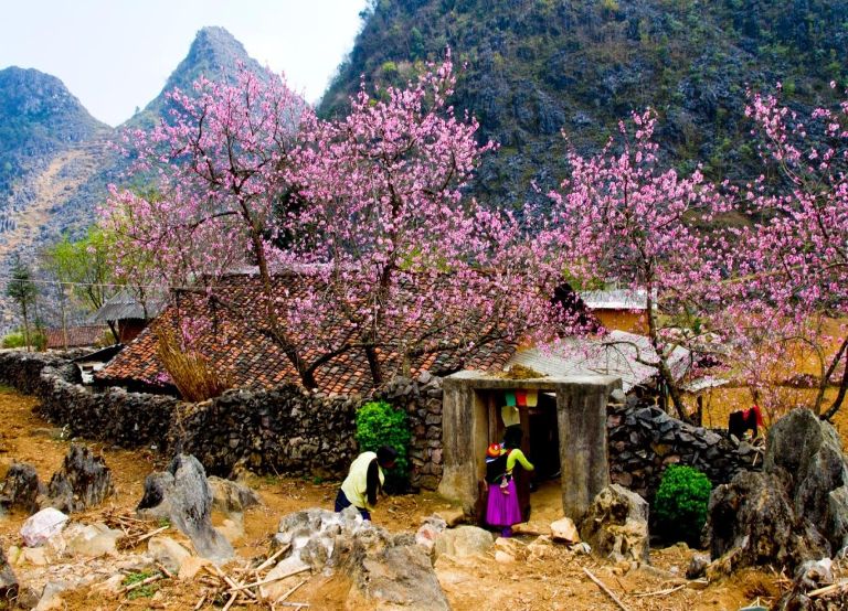 Du khách nên lựa chọn các mùa đặc trưng của Hà Giang để có thể ngắm thêm nhiều cảnh tuyệt đẹp của núi rừng Tây Bắc 