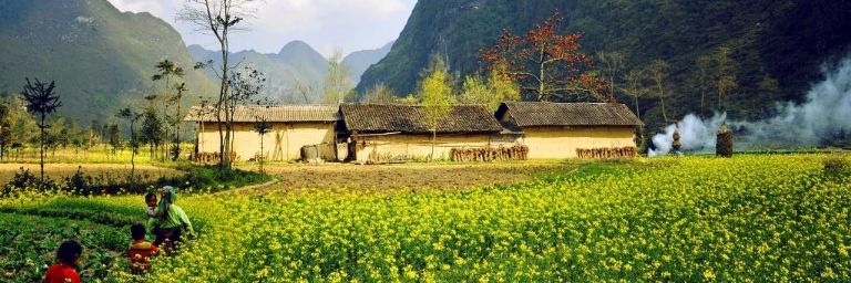 Những cách đồng hoa cải vàng trải dài và toả sáng cả một góc rừng núi Hà Giang khiến du khách không thể dời mắt