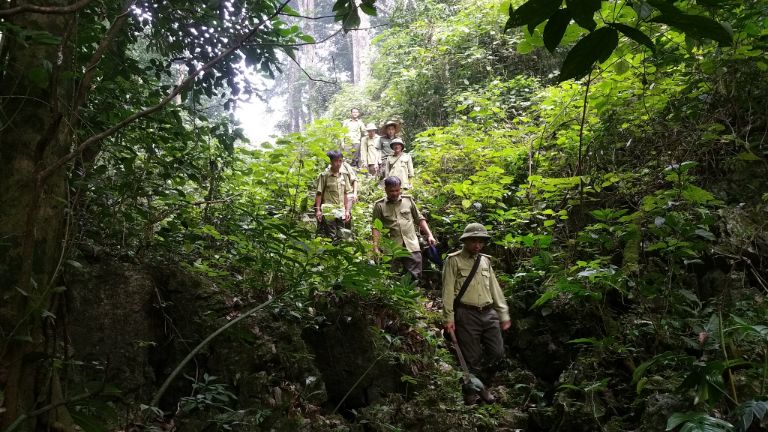 Lực lượng kiểm lâm luôn liên tục tuần tra để bảo vệ vườn quốc gia. 