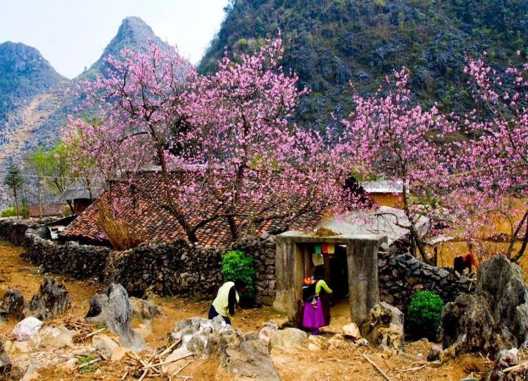 Mùa xuân Hà Giang là thời điểm lý tưởng để khám phá các địa danh du lịch nổi tiếng 