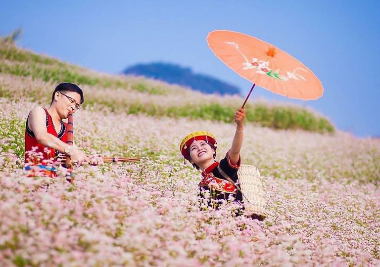 Khi mới chớm đông, Hà Giang cũng chính thức bước vào màu lễ hội hoa tam giác mạch được người dân và khách du lịch vô cùng chờ mong