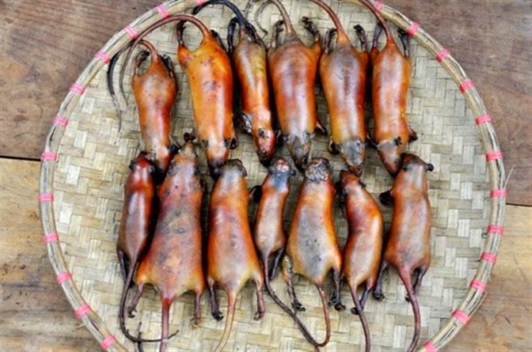 Thịt chuột nướng hoặc thịt chuột gác bếp là hai món ăn truyền thống và là đặc sản không thể bỏ qua khi tới Hoàng Su Phì Hà Giang. 