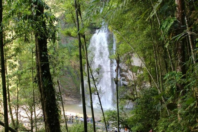 Xen kẽ giữa vẻ đẹp thô mộng của thác nước là khu rừng nguyên sinh hoang sơ và kì vĩ