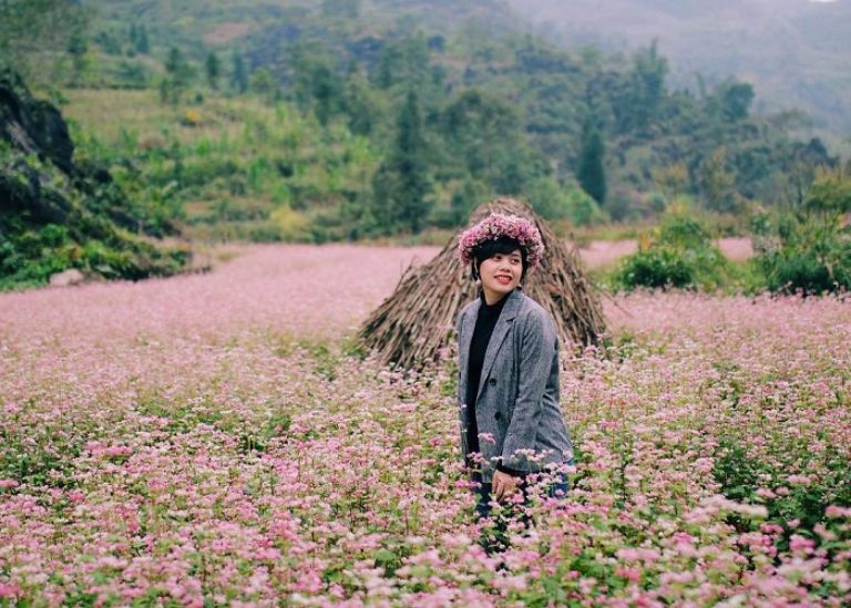 Thung lũng hoa tam giác mạch Hà Giang sẽ là background tuyệt đẹp cho bức hình check in của bạn. 