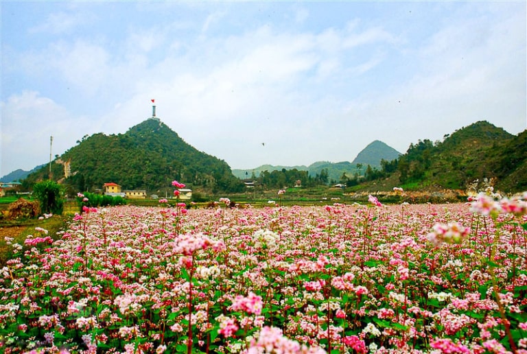 View ngắm thung lũng hoa tam giác mạch Hà Giang lý tưởng từ cột cờ Lũng Cú.