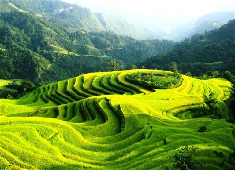 Hoàng Su Phì là một huyện biên giới miền núi của tỉnh Hà Giang, cách trung tâm thành phố khoảng 100km về phía Tây.