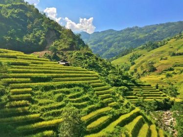Du khách sẽ được tham quan danh thắng ruộng bậc thang Hoàng Su Phì và ngắm nhìn đỉnh Tây Côn Lĩnh từ xa.