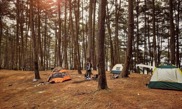 Địa điểm lý tưởng dành cho các hoạt động cắm trại.