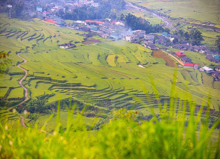 Đường đi đến Trạm Tấu khá xa với tổng thời gian lên đến 5-6 tiếng vì thế khách hàng hãy chuẩn bị sức khoẻ thật tốt.
