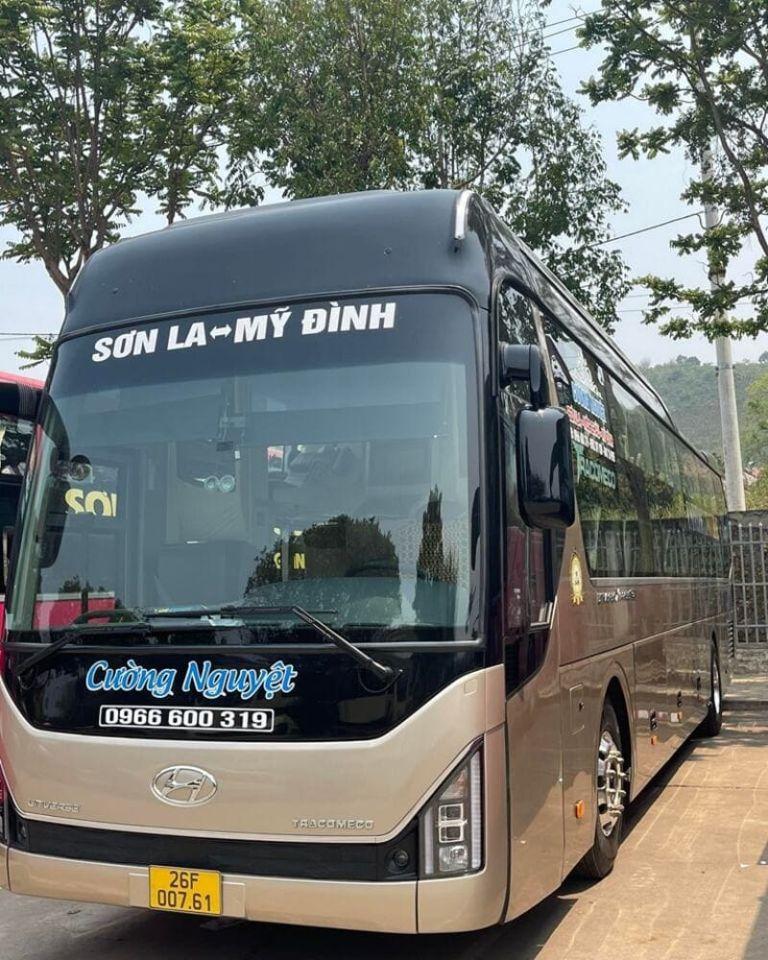 Đơn vị vận tải tổ chức lịch trình khoa học, xe chạy đều đặn.