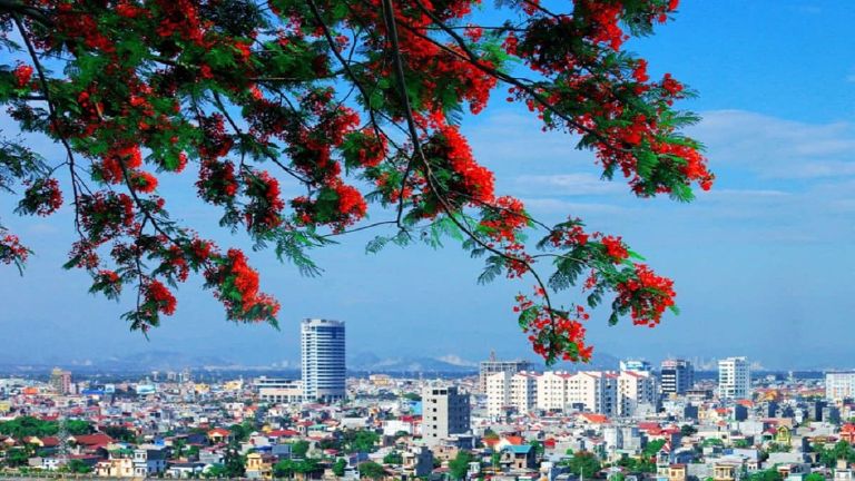 Thành phố hoa phượng đỏ mang vẻ đẹp vừa hiện đại vừa hoài niệm.