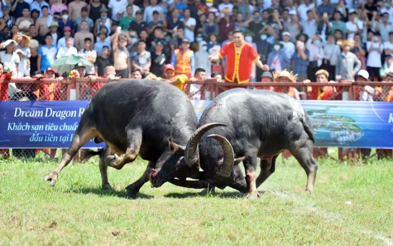 Việc tuân thủ khoảng cách an toàn giúp đảm bảo an ninh và trải nghiệm lễ hội trọn vẹn hơn.