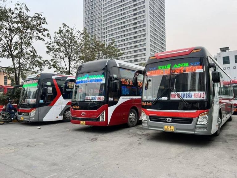 Thế Anh sở hữu đội ngũ lái xe giàu kinh nghiệm, luôn đặt an toàn hành khách lên hàng đầu.