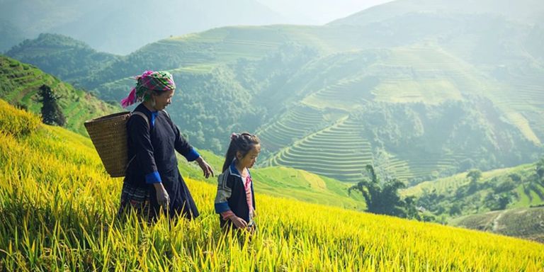 Để tận hưởng khung cảnh nên thơ trọn vẹn, hãy chọn một nhà xe uy tín cho hành trình của bạn.