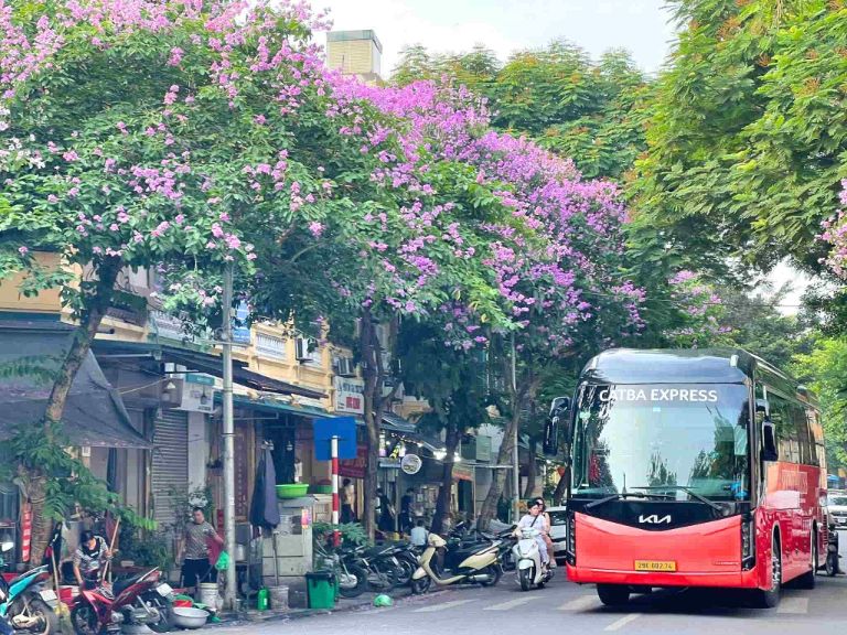 Chuyến xe hướng về đảo Cát Bà là sự kết hợp hài hòa giữa tiện nghi và an tâm.